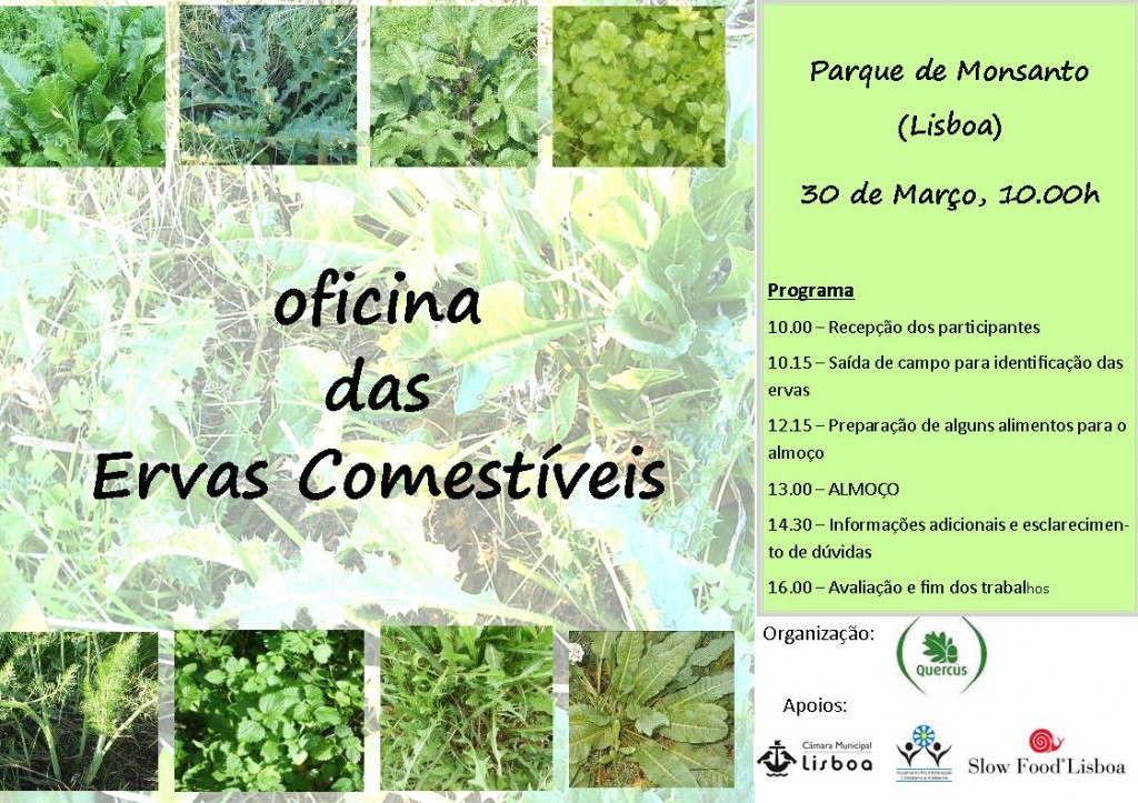 ervas-comestiveis-30marco-2014